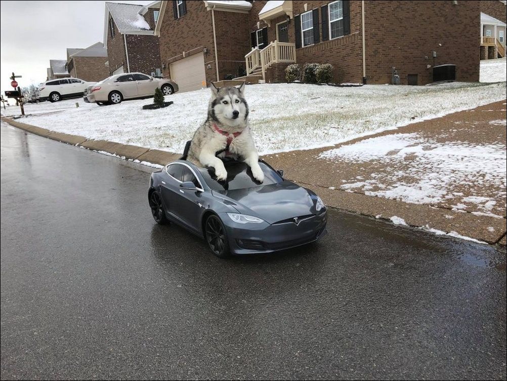 фото приколы