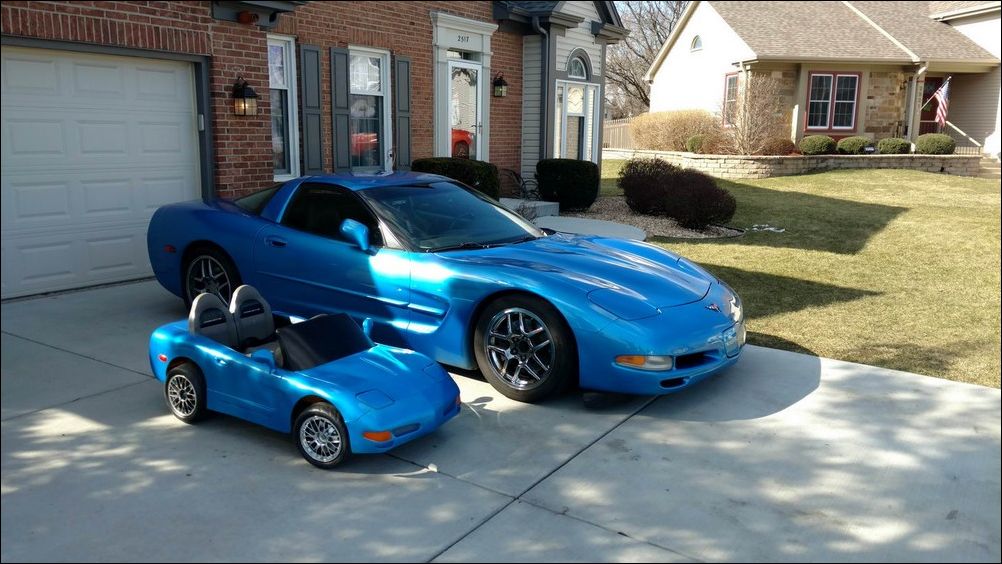 фото приколы