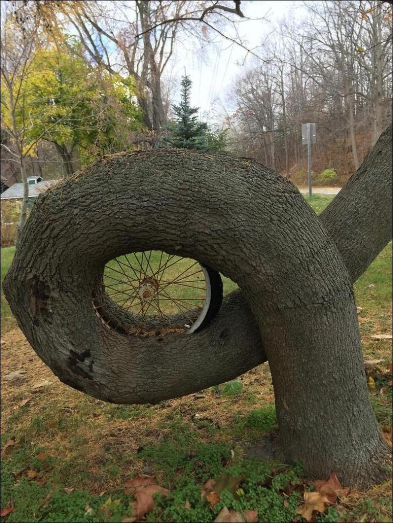 фото приколы