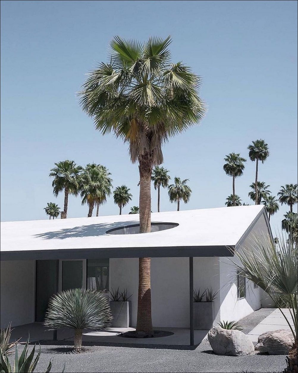 фото приколы