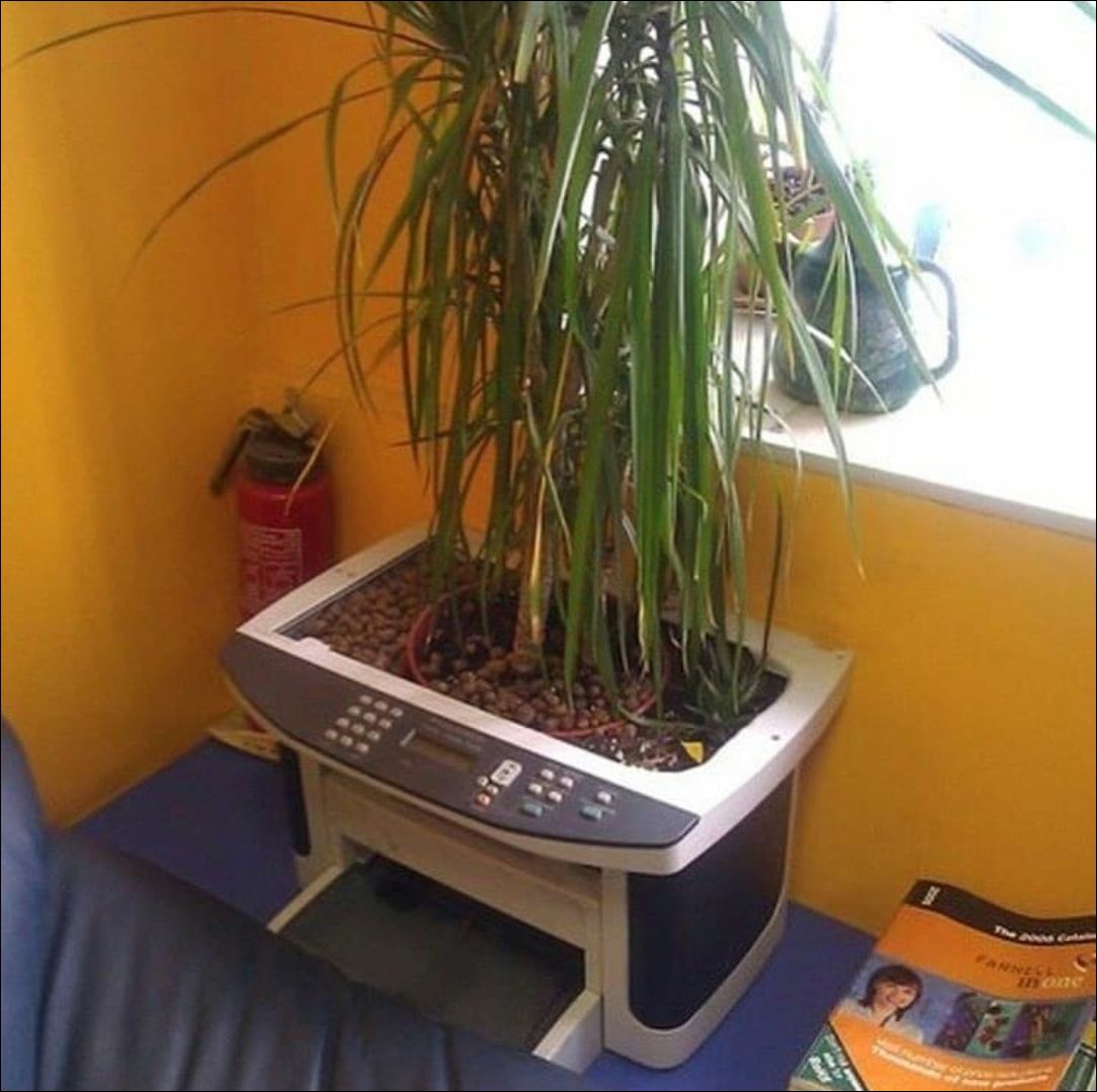 фото приколы