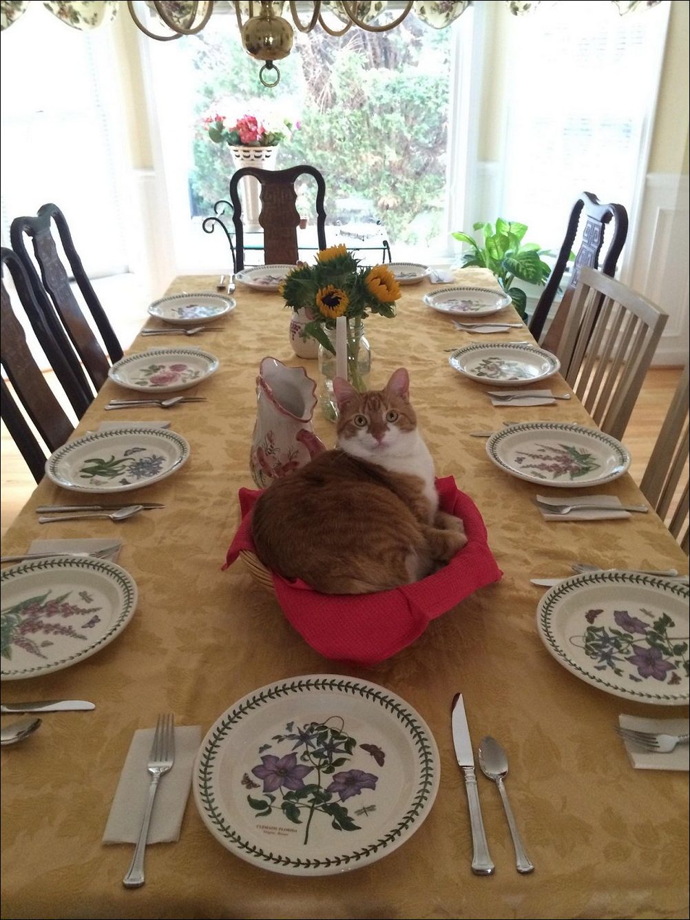 фото приколы