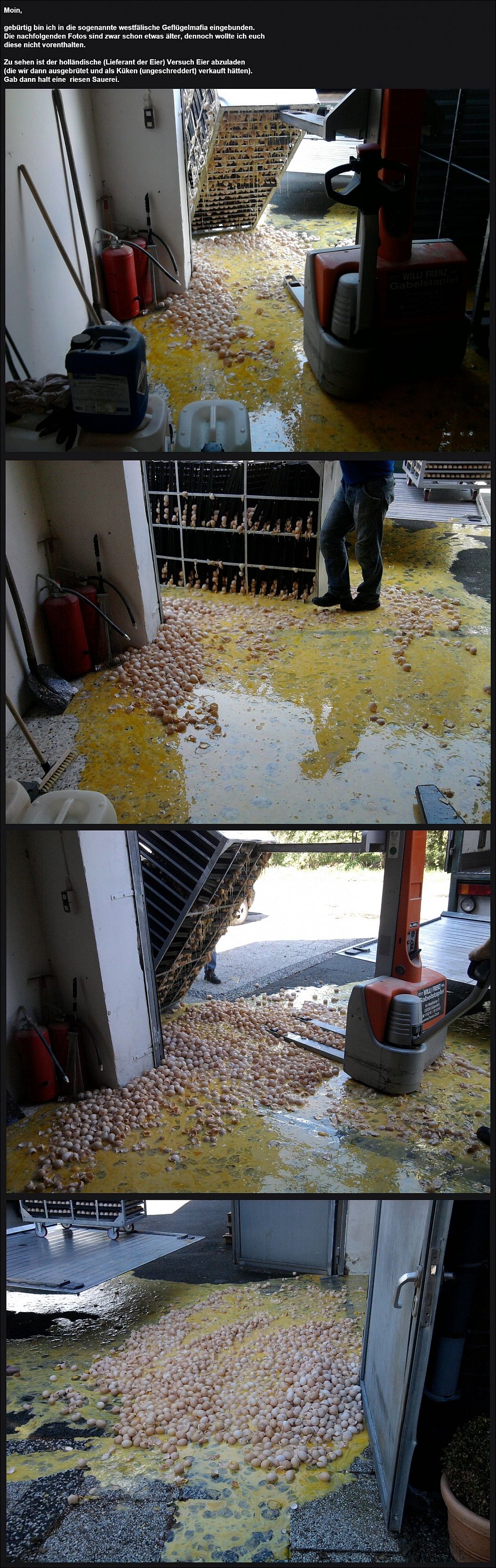 фото приколы