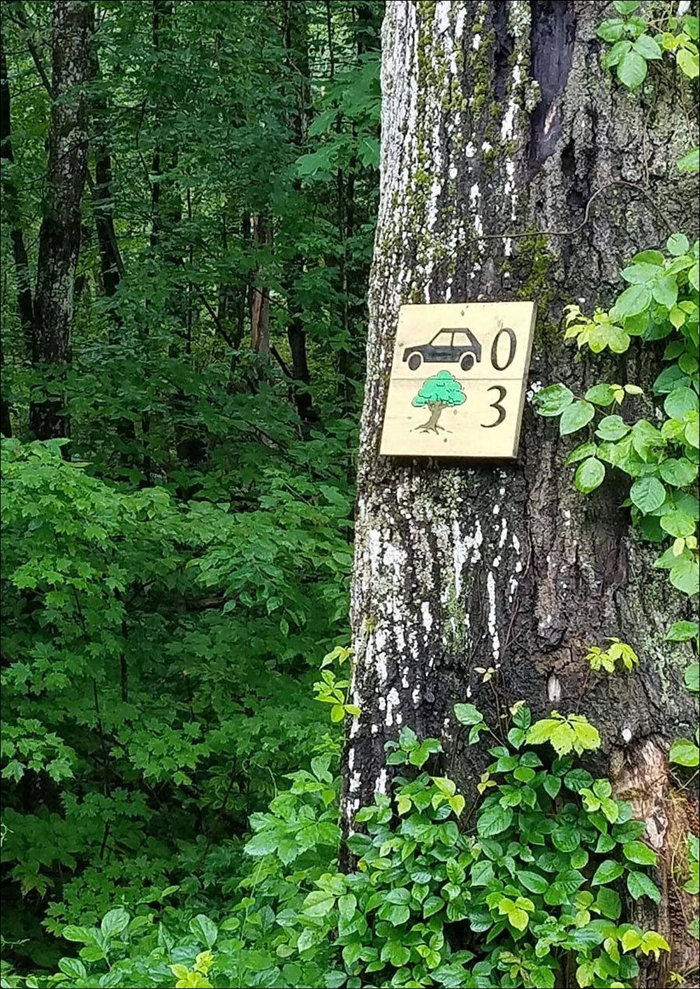 фото приколы