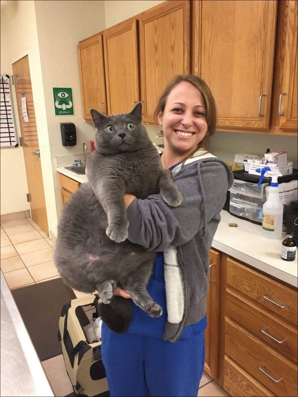 фото приколы