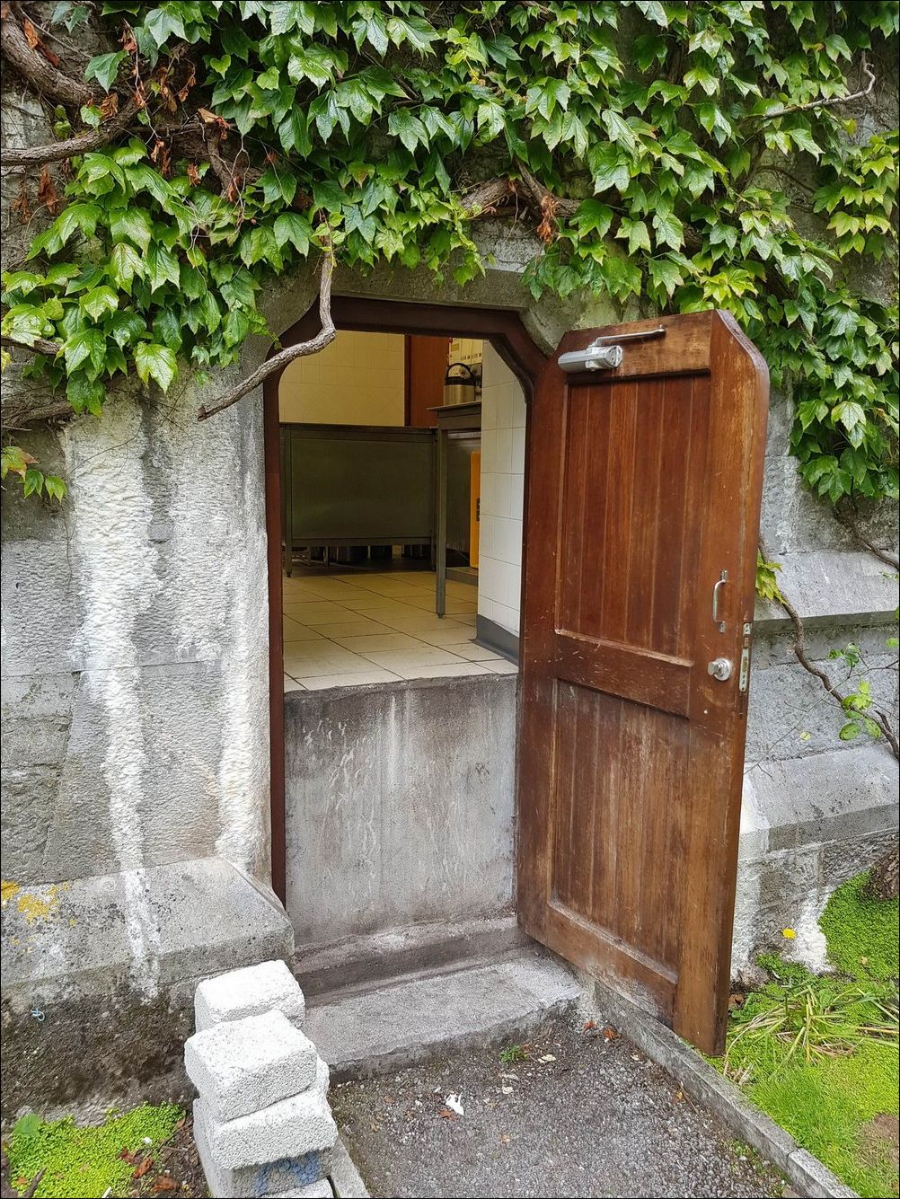 фото приколы