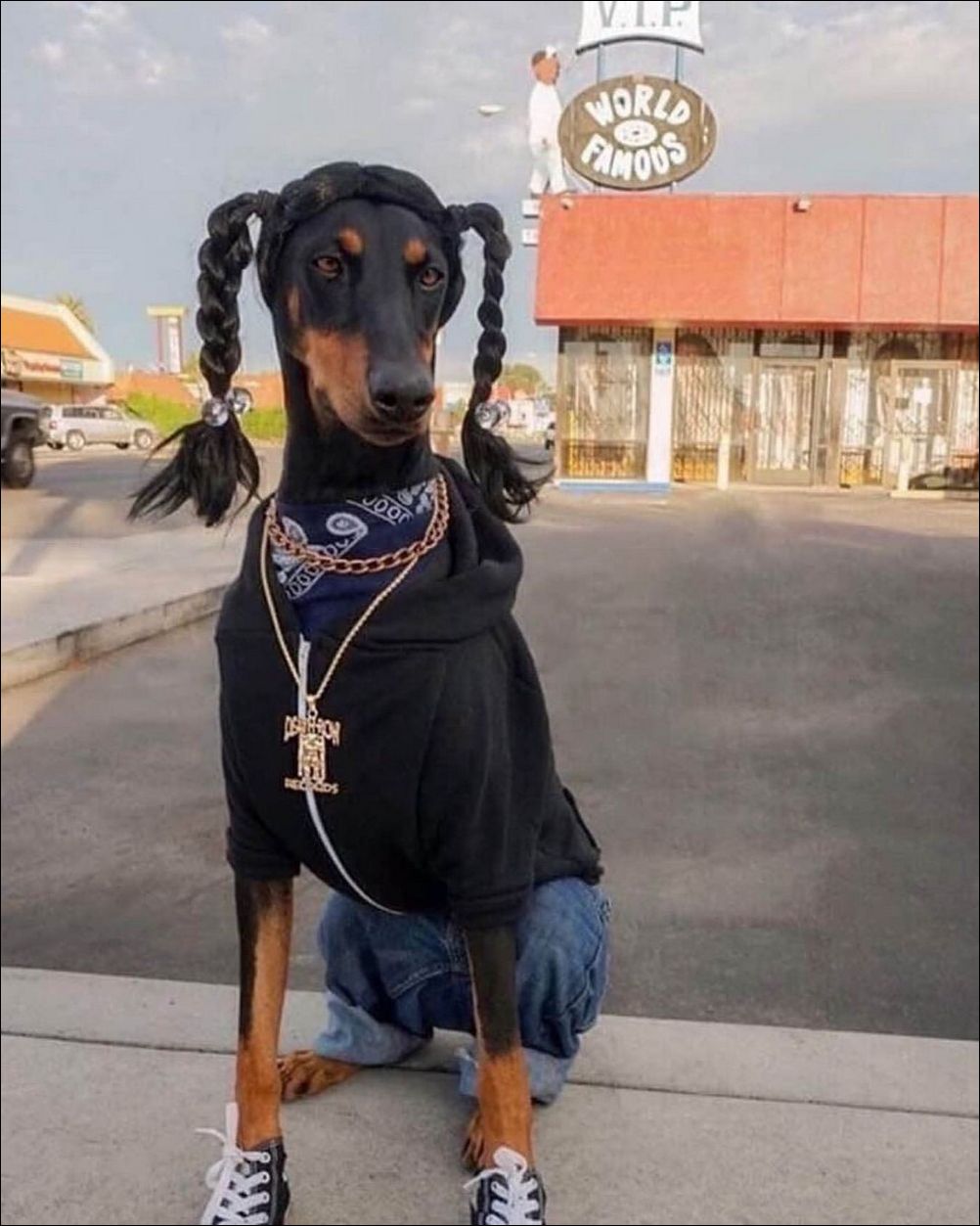 фото приколы