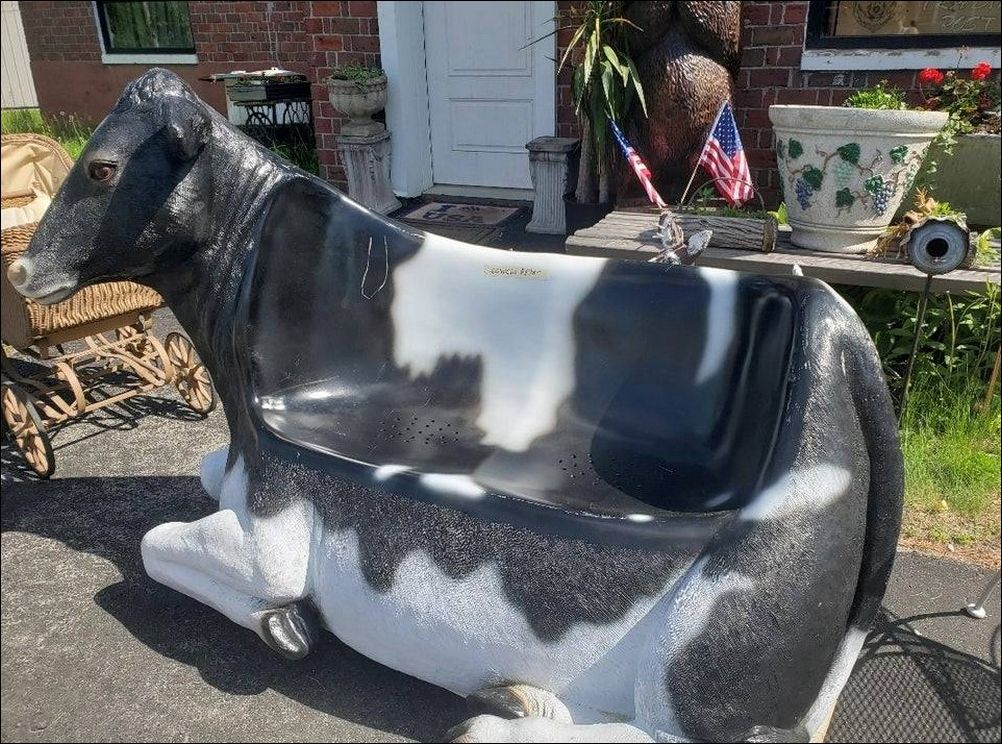 фото приколы