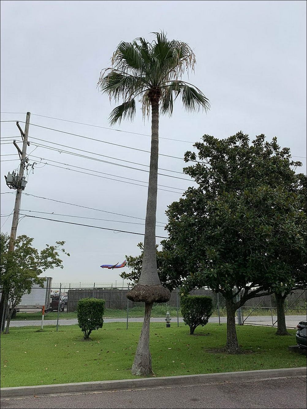 фото приколы