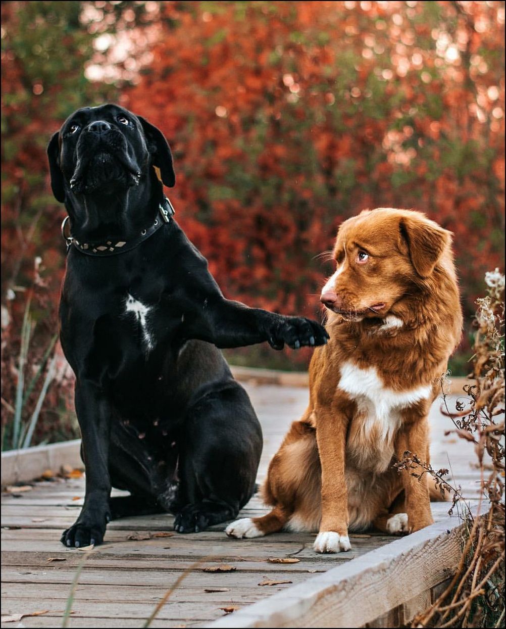 фото приколы