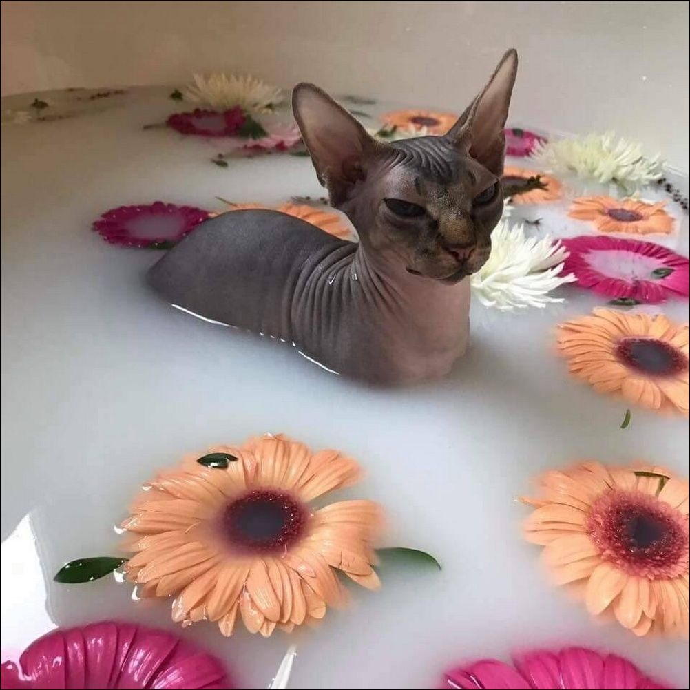 фото приколы