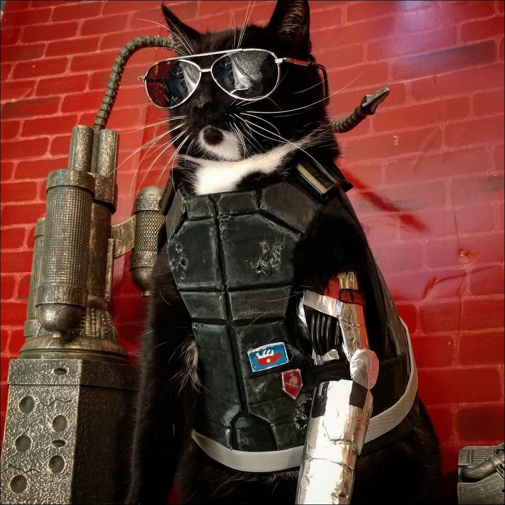 фото приколы