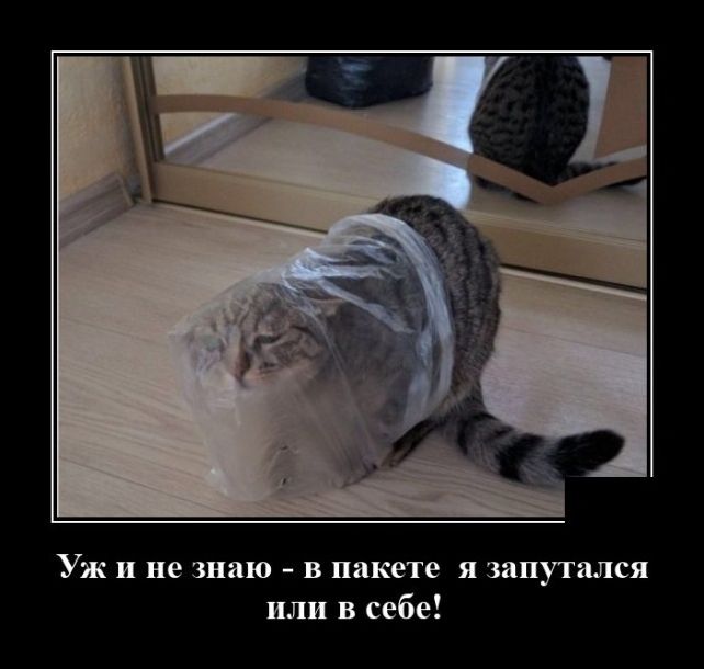 демотиватор