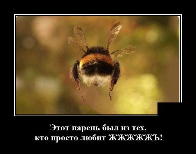 демотиватор