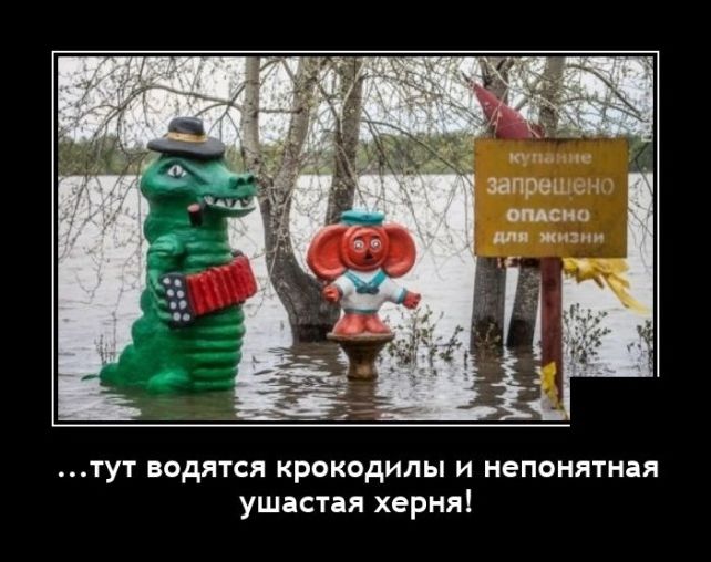 демотиватор