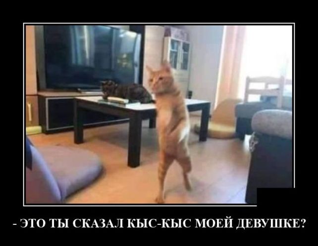 демотиватор