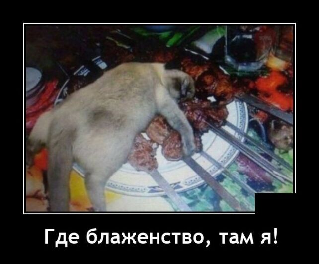 демотиватор