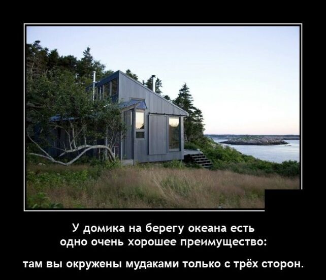 демотиватор