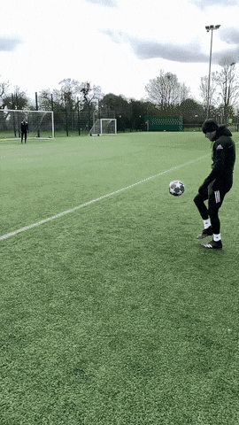 Прикольные гифки