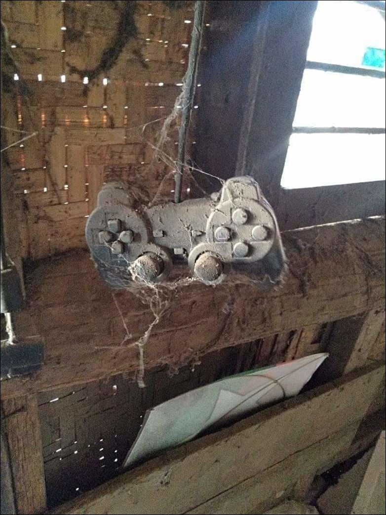 фото приколы