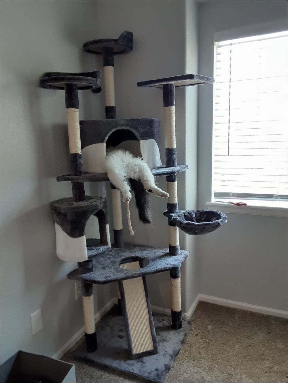 фото приколы