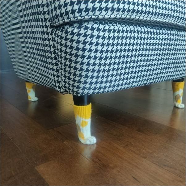 фото приколы