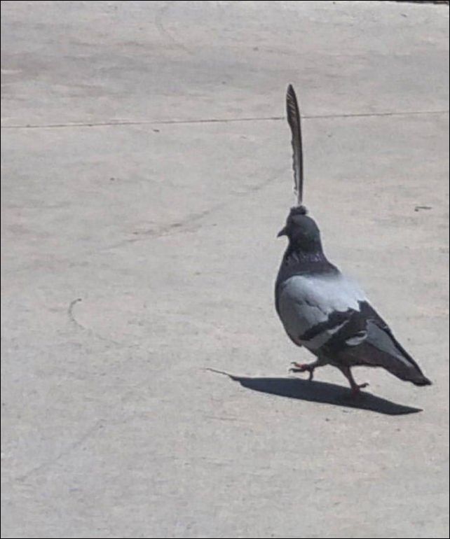 фото приколы