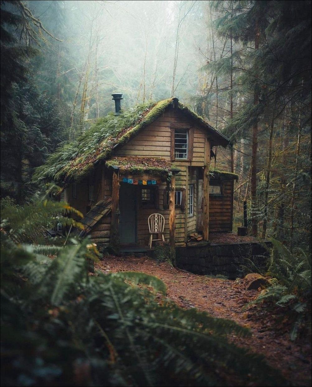 фото приколы