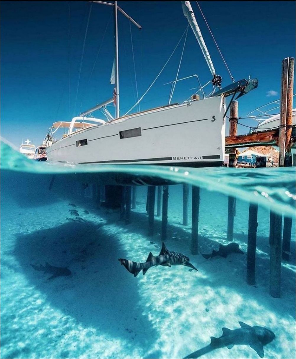 фото приколы