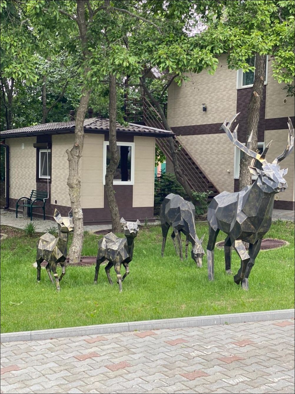 фото приколы