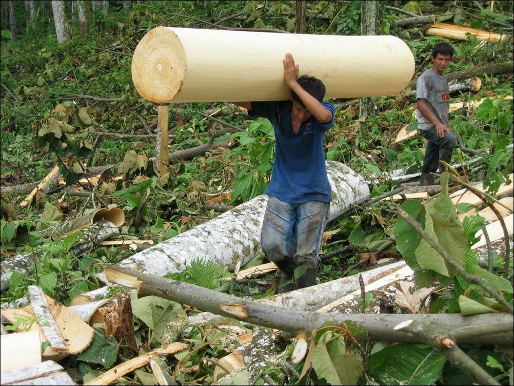 фото приколы