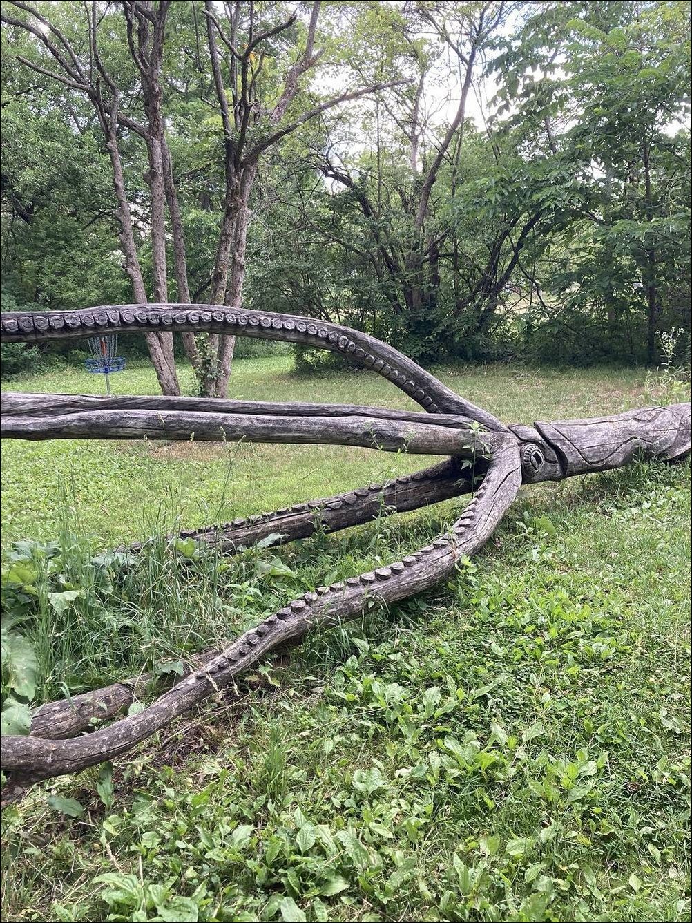 фото приколы