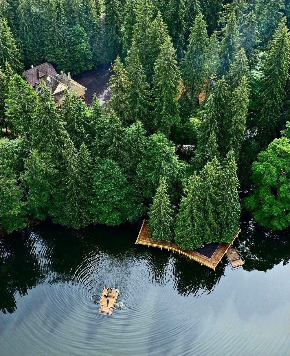 фото приколы