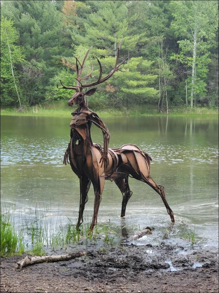 фото приколы