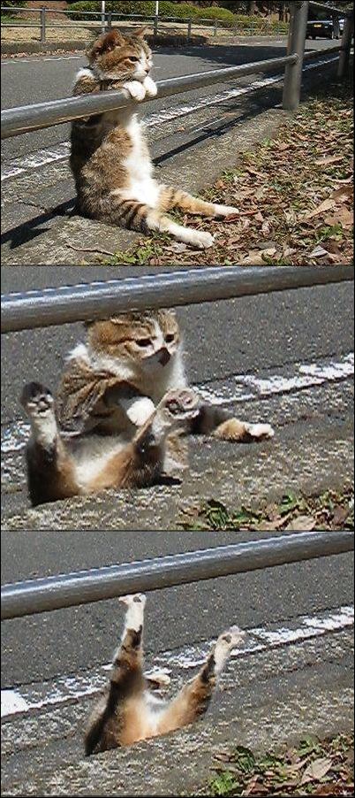 фото приколы