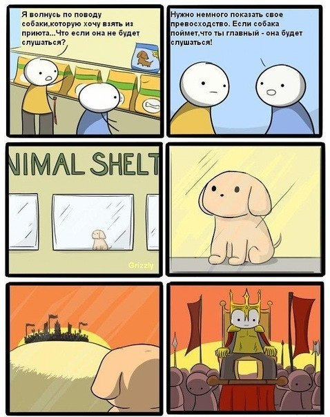 Комиксы и карикатуры