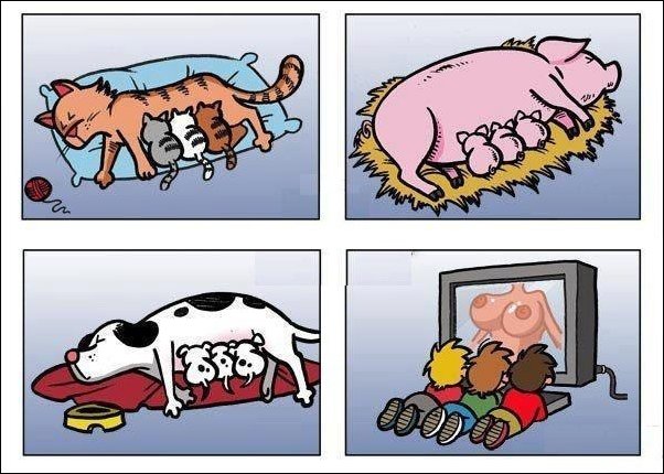 Комиксы и карикатуры