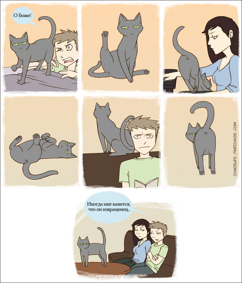 Комиксы и карикатуры