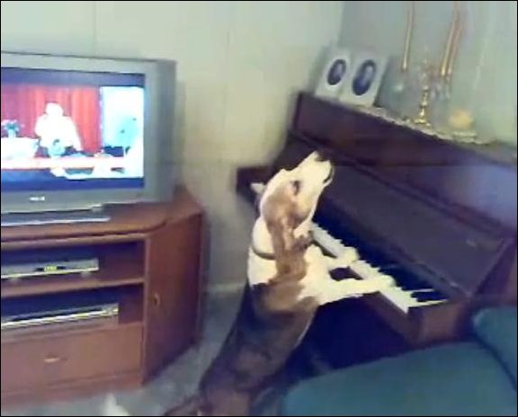 композитор