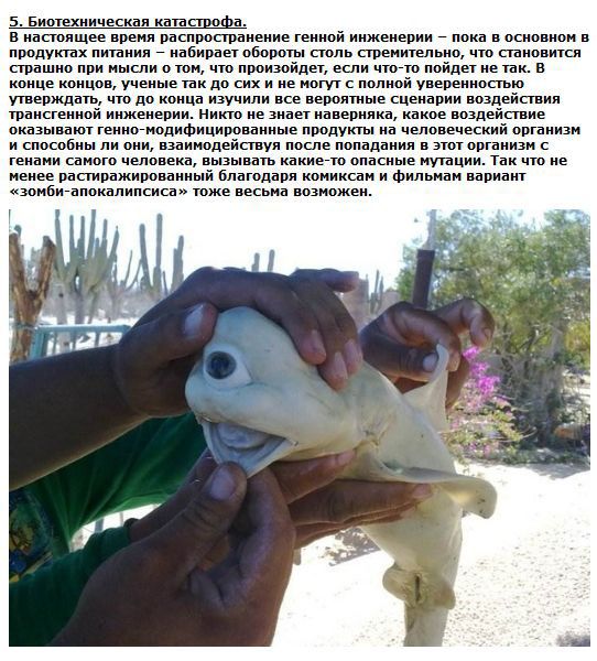 Конец света