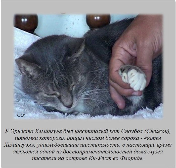 Интересные факты о разном