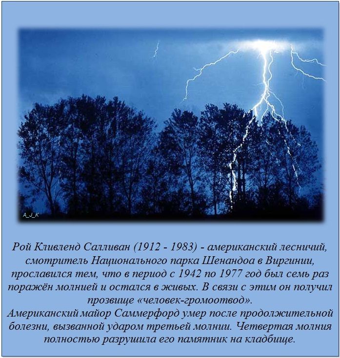 Интересные факты о разном