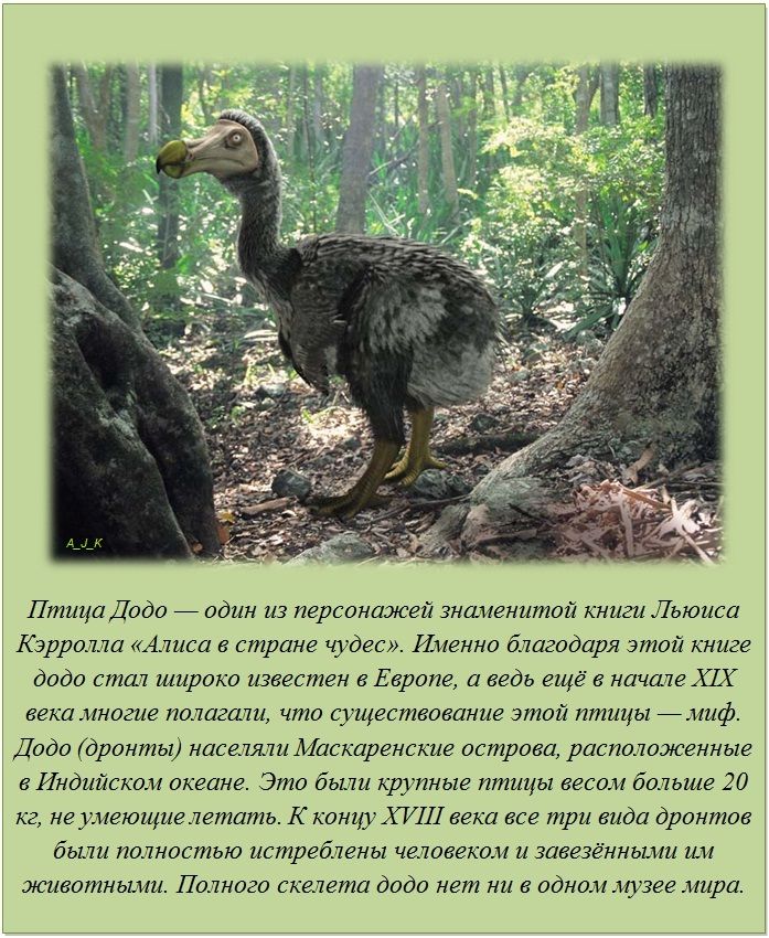 Интересные факты о разном