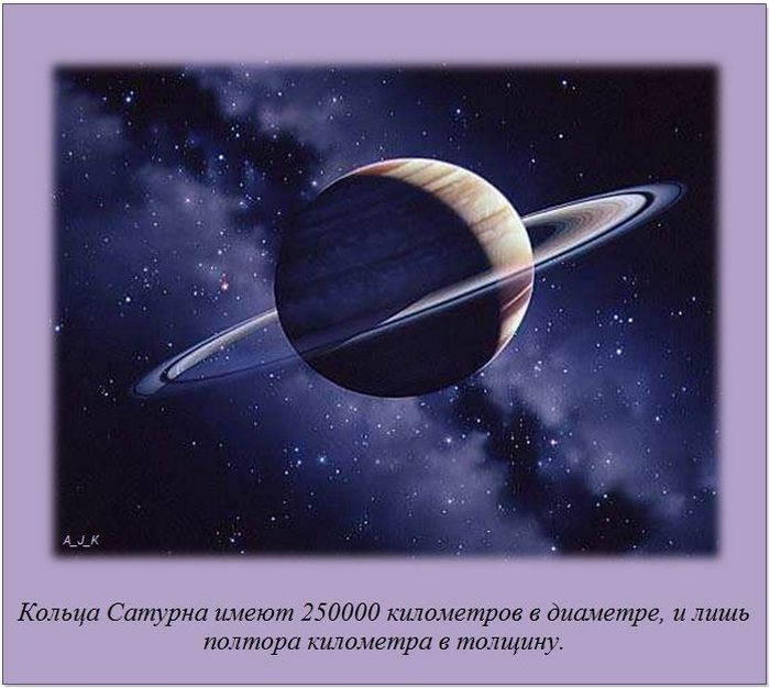 Интересные факты о разном