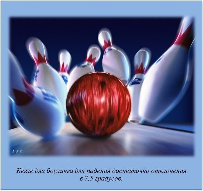 Интересные факты о разном