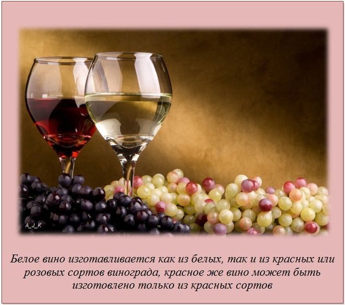 Интересные факты о разном