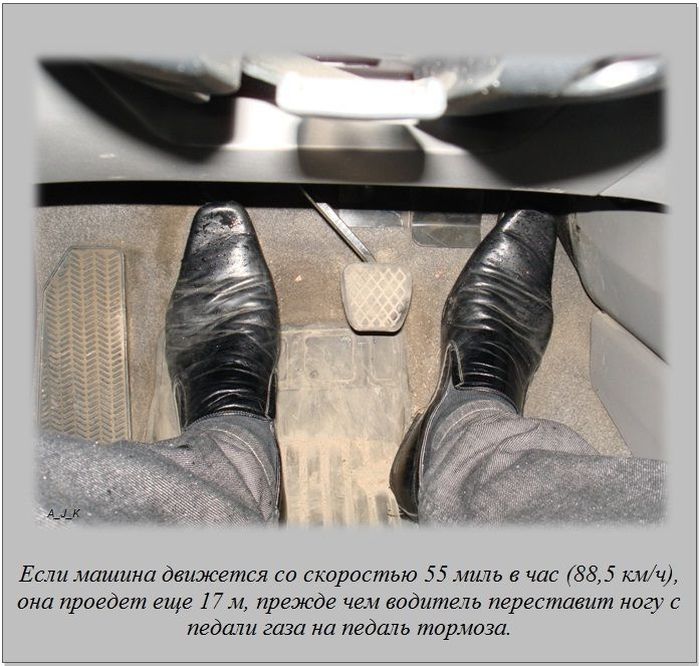 Интересные факты о разном