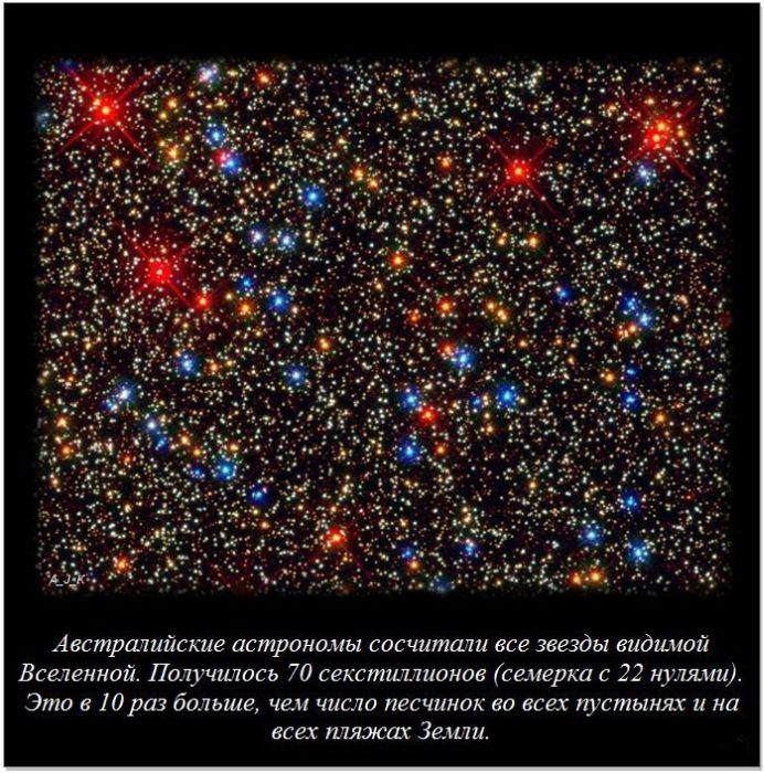 Интересные факты о разном