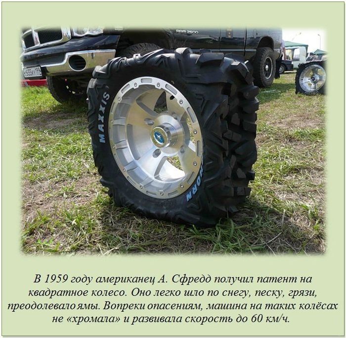 Интересные факты о разном