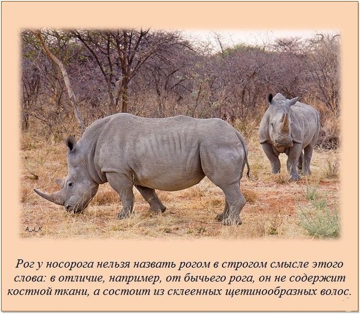 Интересные факты о разном